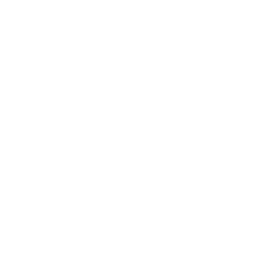 ce logo Arnold