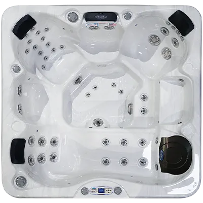 Avalon EC-849L hot tubs for sale in Arnold